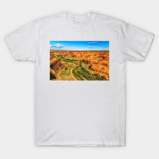 Canyon de Chelly National Monument T-Shirt